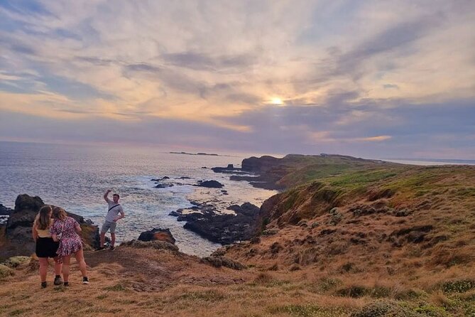 From Phillip Island: Wine and Wildlife Tour with Penguin Parade - The food and the wine toast: why the meal isn’t an afterthought