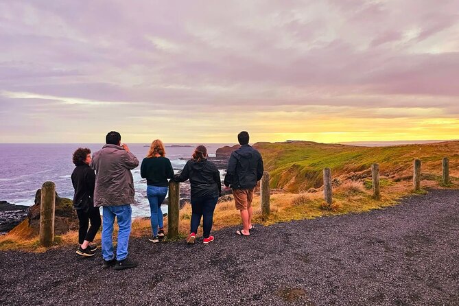 From Phillip Island: Wine and Wildlife Tour with Penguin Parade - Getting around: premium comfort in a small-group coach