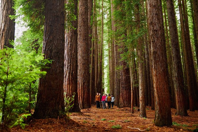 Fruit Picking & Nature Private Tour Yarra Valley & Warburton - Key highlights you’ll feel on the day