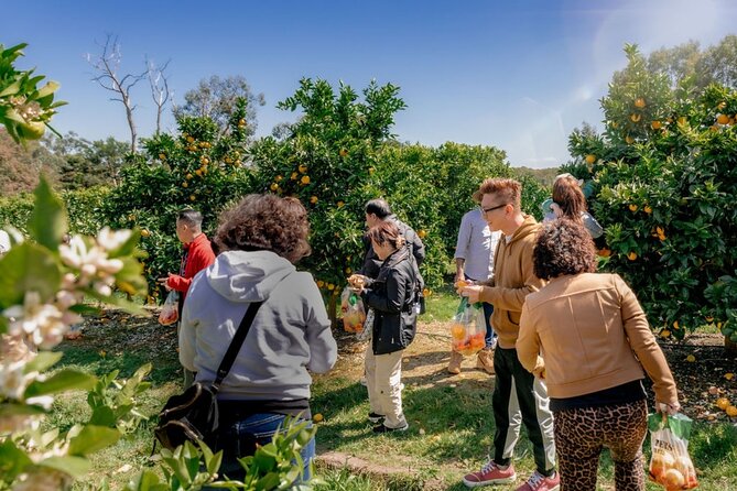 Fruit Picking & Nature Private Tour Yarra Valley & Warburton - Warburton village by the Yarra River: short, sweet, and useful