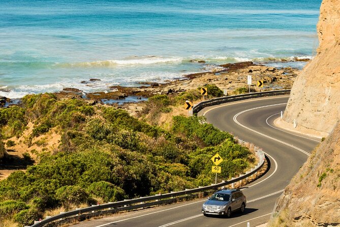 Full-Day Great Ocean Road and 12 Apostles Sunset Tour from Melbourne - Kennett River: your best shot at koalas
