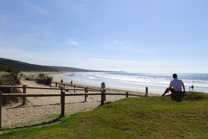 Full-Day Great Ocean Road and 12 Apostles Tour - Why this Great Ocean Road day tour feels like a smart deal