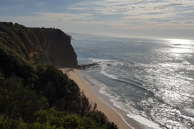 Full-Day Great Ocean Road Tour from Melbourne - Loch Ard Gorge: lookouts plus the step-down experience