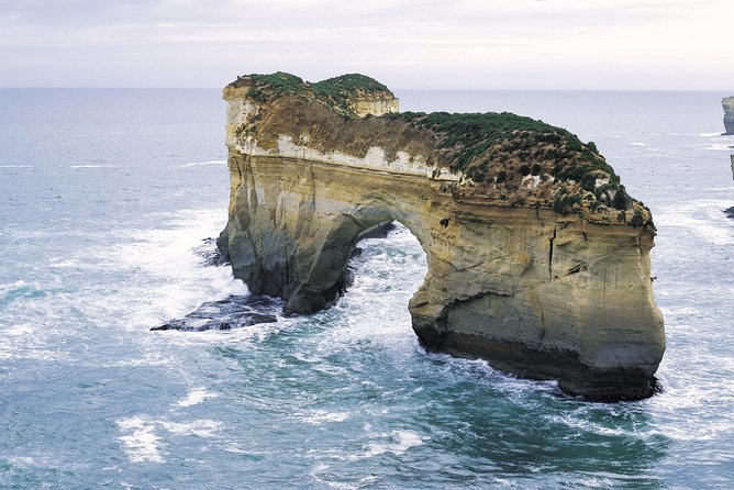 Full-Day Great Ocean Road Tour from Melbourne - Yatzies lunch gardens and parrots, then Mait’s Rest in Otway forest
