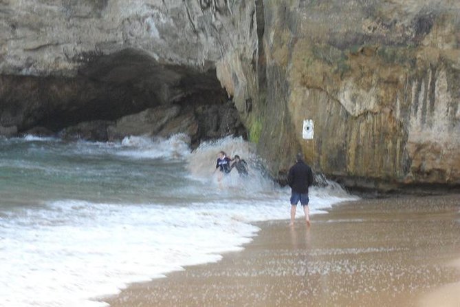 Full-Day Great Ocean Road Tour from Melbourne - Kennett River for koalas and parrots, plus Cape Patton and Lorne Beach