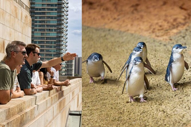 Full-day Melbourne City Sightseeing with Penguin Parade - Key things I’d plan around