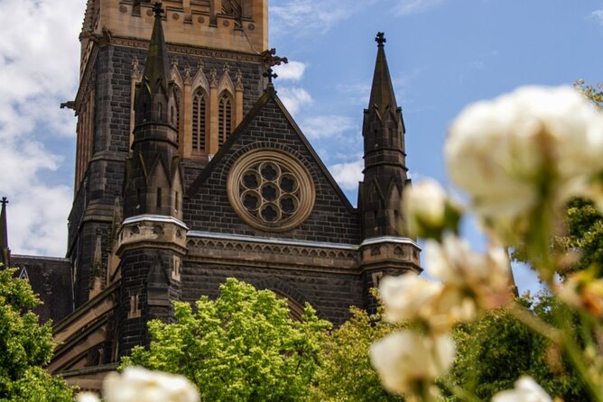 Full-day Melbourne City Sightseeing with Penguin Parade - The MCG forecourt + St. Patrick’s Cathedral: iconic spots, short time