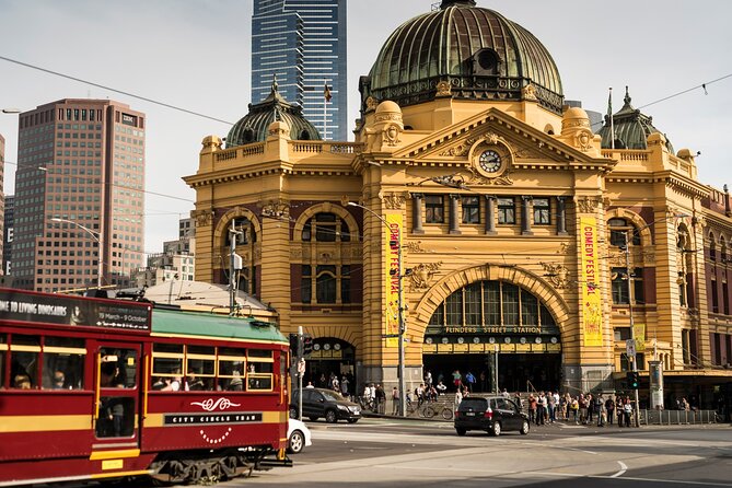 Full-day Melbourne City Sightseeing with Penguin Parade - The drive south: Nobbies views and seals before penguins steal the show