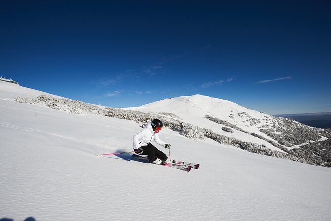 Full-Day Mount Buller Tour - A 5:20am departure and a real five-hour snow block
