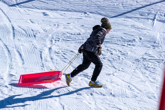 Full-Day Mount Buller Tour - Price and value: what $104 buys you (and what it doesn’t)