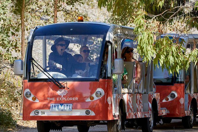 Full-Day Penguins and Wildlife Nature Experience from Melbourne - Tour timing: how a 12-hour day stays enjoyable