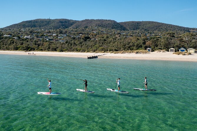 Full-Day Penguins and Wildlife Nature Experience from Melbourne - Pickup, transport, and the small-group feel