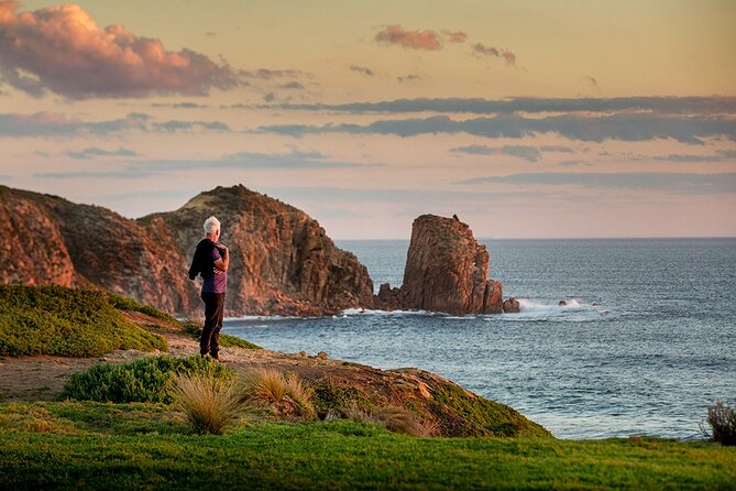 Full-Day Phillip Island Tour with Kangaroo, Koala and Penguin Parade - Cowes: The Town Stop That Helps You Eat Without Stress