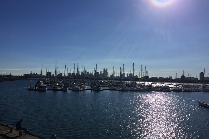 Full Day Private Melbourne Tour with enchanting Koala Encounters. - St Paul’s Cathedral, Federation Square, Parliament House, and the Royal Exhibition Building