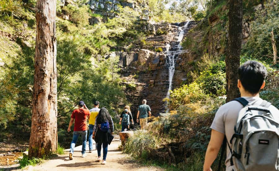 Grampians National Park Small-Group Eco Day Tour - Key things to know before you go