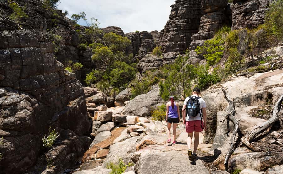Grampians National Park Small-Group Eco Day Tour - Why this Grampians day feels calmer than most