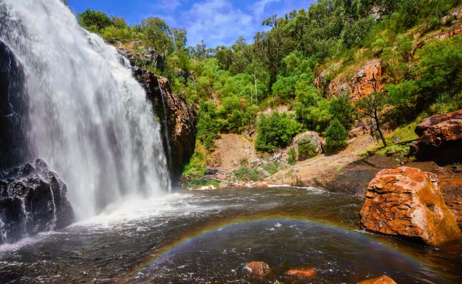 Grampians National Park Small-Group Eco Day Tour - Melbourne to Ballarat: a story-first start
