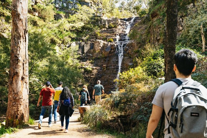 Grampians National Park Small-Group Eco Tour from Melbourne - Why This Grampians Day Trip Feels Different Than a Drive-By