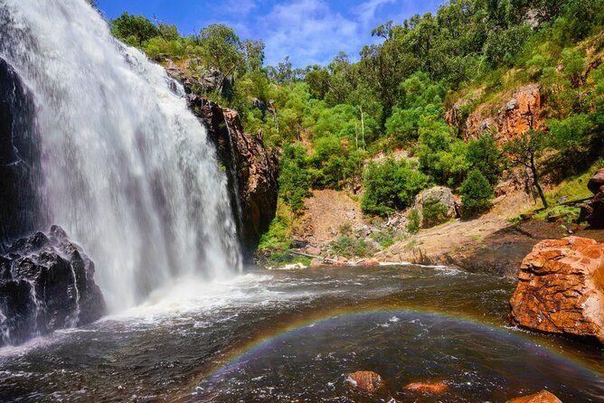 Grampians National Park Small-Group Eco Tour from Melbourne - First Stretch in the Grampians: Bushwalk Time and Wildlife Chances
