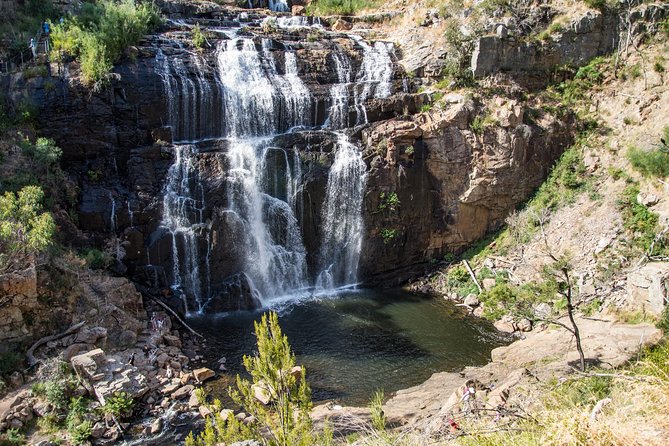 Grampians National Park with MacKenzie Falls and Kangaroos - Key things to know before you go