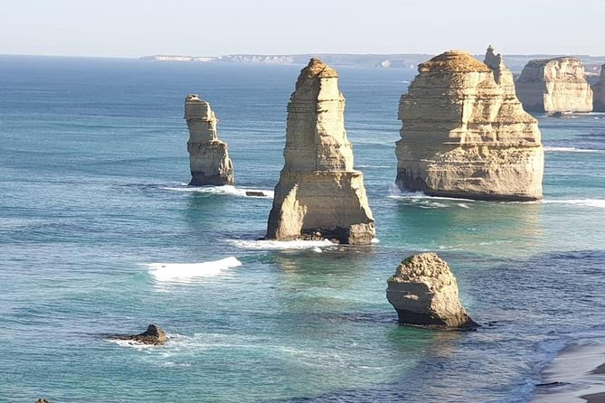 Great Ocean Road 12 Apostles kangaroo, koala and chocolate tour - Key things to know before you go