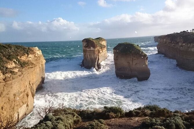 Great Ocean Road 12 Apostles kangaroo, koala and chocolate tour - Wildlife on the move: Anglesea kangaroos, possible koalas, and why sightings vary