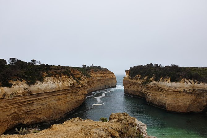 Great Ocean Road 12 Apostles kangaroo, koala and chocolate tour - Guide quality and reroutes: the difference between a good day and a great one