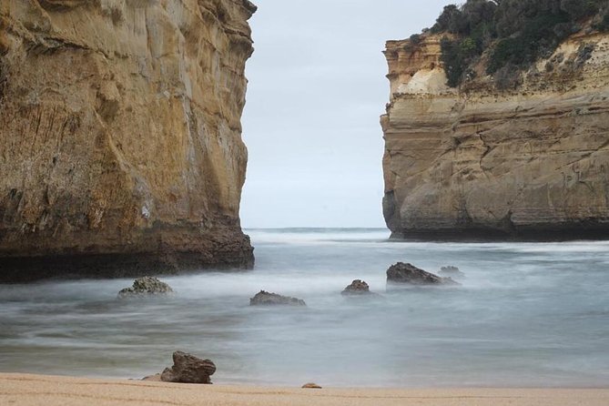 Great Ocean Road 12 Apostles kangaroo, koala and chocolate tour - Where the day starts: pickup points, timing, and a realistic return