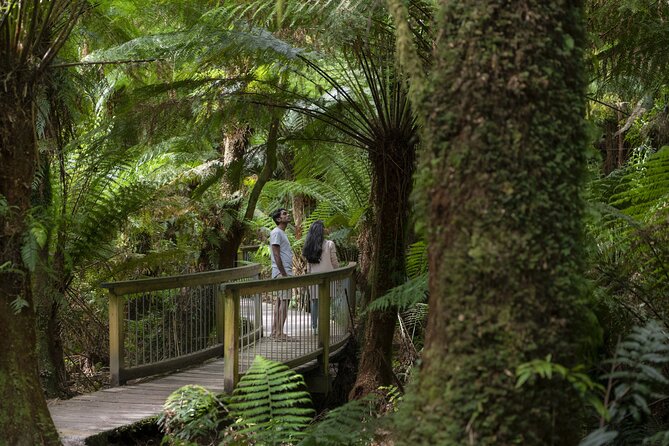 Great Ocean Road, 12 Apostles, Loch Ard Gorge & lunch - Melbourne - Stop 2: Twelve Apostles Visitor Facility (45 minutes)