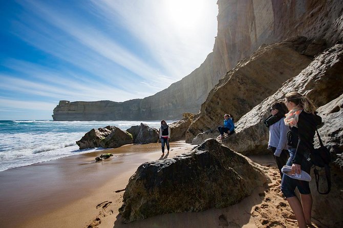 Great Ocean Road, 12 Apostles, Loch Ard Gorge & lunch - Melbourne - Stop 4: Maits Rest or Melba Gully rainforest walk