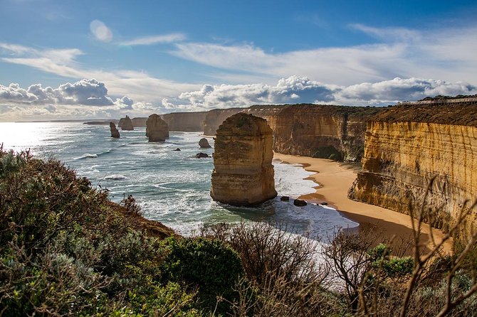 Great Ocean Road, 12 Apostles, Rainforest & Morning Tea-Melbourne - Twelve Apostles: The Cliffs, the Water, and Why You’ll Want Photos