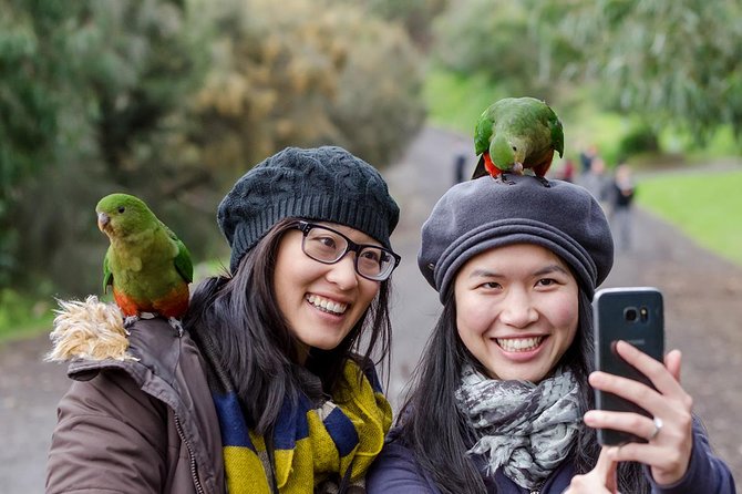 Great Ocean Road, 12 Apostles, Rainforest & Morning Tea-Melbourne - The Return Leg: Colac Break and the Art of Ending a Long Day