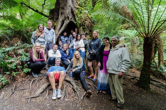Great Ocean Road 12 Apostles & Rainforest Walk with Morning Tea - Choosing your side on the bus for best ocean views