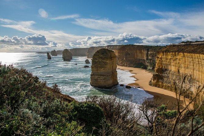 Great Ocean Road 12 Apostles & Rainforest Walk with Morning Tea - The Surf Coast run: small towns, history stops, and a lot of variety