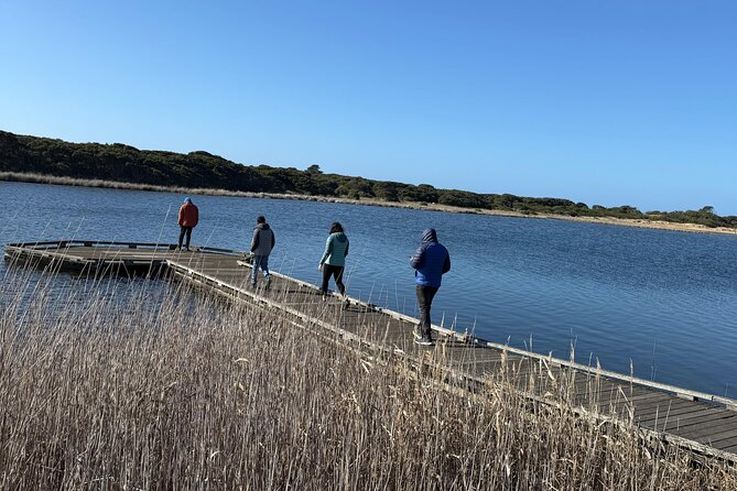 Great Ocean Road and 12 Apostles Private Day Tour - Stop 6: Lorne—seaside town energy without rushing