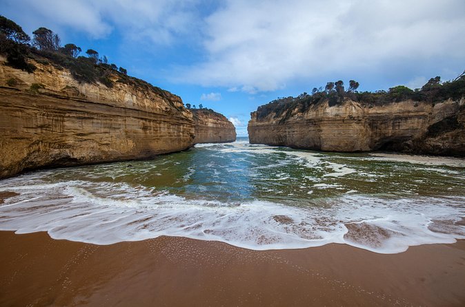 Great Ocean Road and Wildlife Tour for Backpackers aged 18-35 - Wildlife spotting that feels realistic, not gimmicky