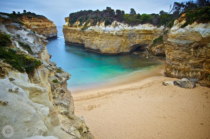 Great Ocean Road & Beyond 4 day Adventure Melbourne to Adelaide - The Great Ocean Road on Day 1: koalas, the Memorial Arch, and Otways rainforest walks