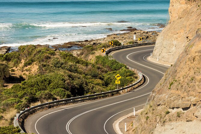 Great Ocean Road Coastal Spectcular with Wildlife Wonders - Why the reverse-direction drive feels quieter and more personal