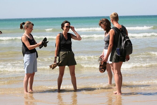 Great Ocean Road Full-Day Sunset Eco Tour from Melbourne - Otway Ranges to Port Campbell: the Shipwreck Coast in full scale