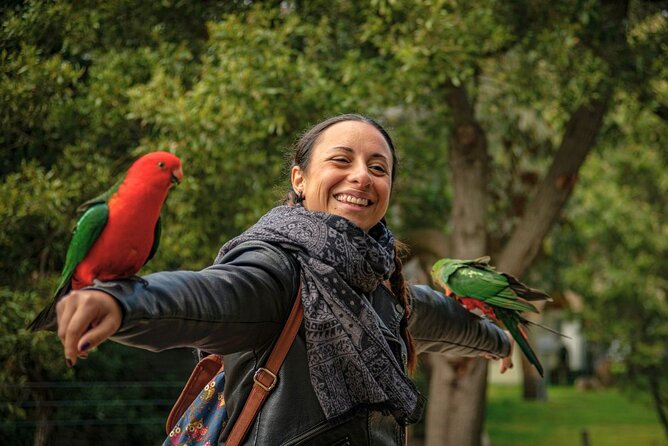 Great Ocean Road Full-Day Sunset Eco Tour from Melbourne - Timing, comfort, and what to bring for an 11–14 hour day