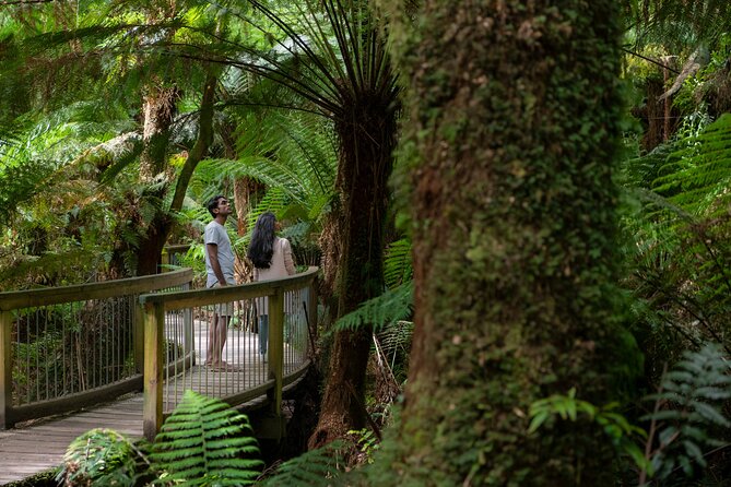 Great Ocean Road Grampians 3 Day National Park Tour Melbourne Roundtrip - Key points to know before you go