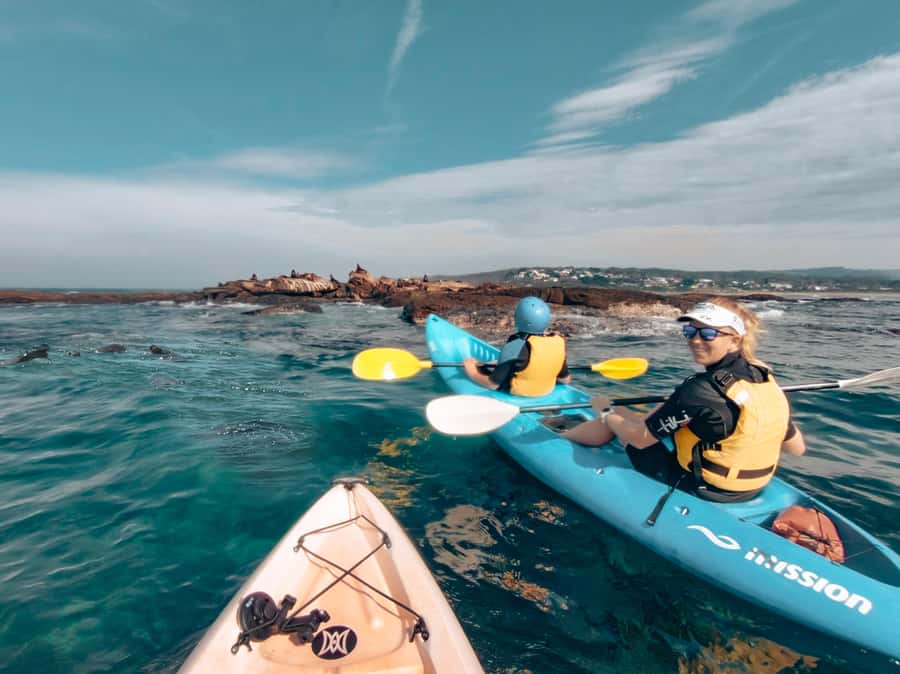 Great Ocean Road: Kayaking with Seals Tour - Key things to know before you go