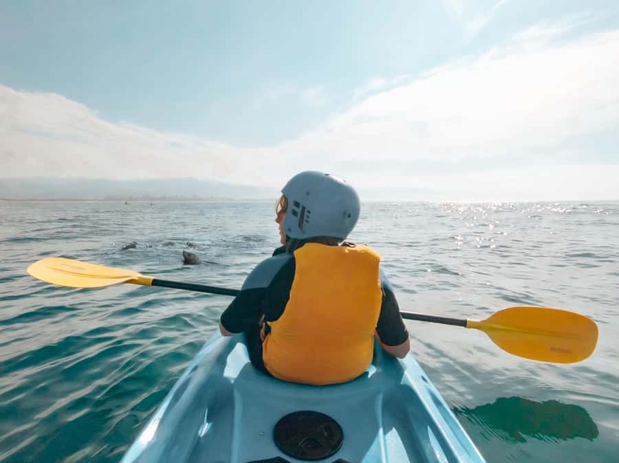 Great Ocean Road: Kayaking with Seals Tour - The paddle out: heading toward the haul-out area