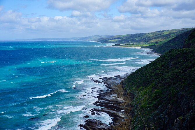 Great Ocean Road Must-See Extended Tour – 12 Apostles & Beyond - Lorne and Cumberland River: short stops with big photo payoff