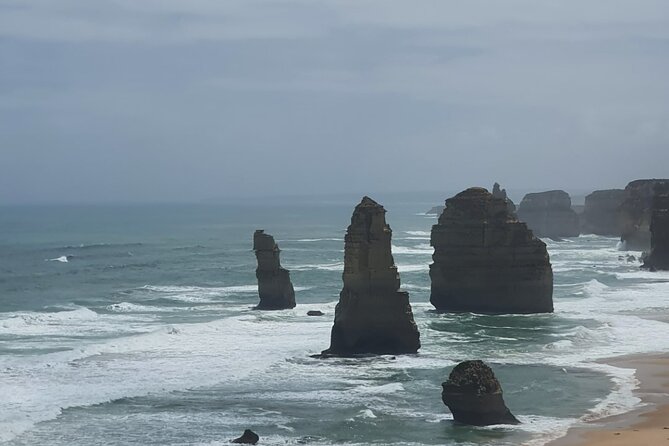Great Ocean Road Private Day Tour - Wildlife chances: koalas and kangaroos without turning it into a hunt