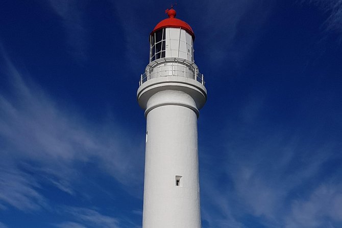 Great Ocean Road Private Luxury Tour - Private van, custom stops, and the real value of a 7-person day