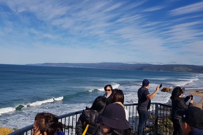 Great Ocean Road Private Luxury Tour - Great Otway National Park: eucalyptus, ferns, and koala spotting time