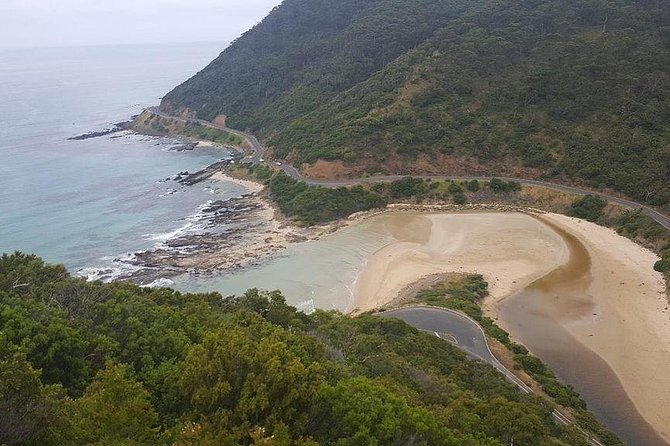 Great Ocean Road Private Tour - Who this private tour is best for
