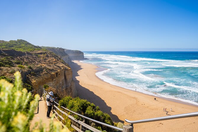 Great Ocean Road Reverse Itinerary Boutique Tour - Max 11 Guests - Great Otway National Park breaks up the day in a good way
