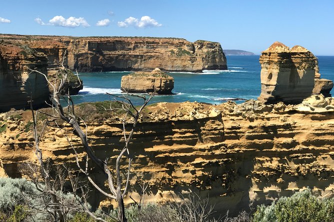 Great Ocean Road Reverse Itinerary Boutique Tour - Max 11 Guests - Kennett River Koala Walk: the wildlife stop that needs patience